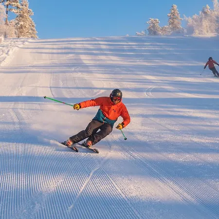 Vakantiepark Fulufjellstunet Ljørdal