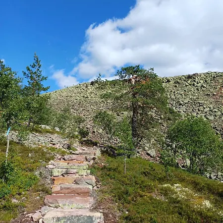 Fulufjellstunet Village de vacances *