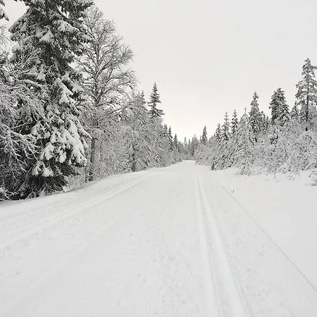 Village de vacances Fulufjellstunet Ljørdal
